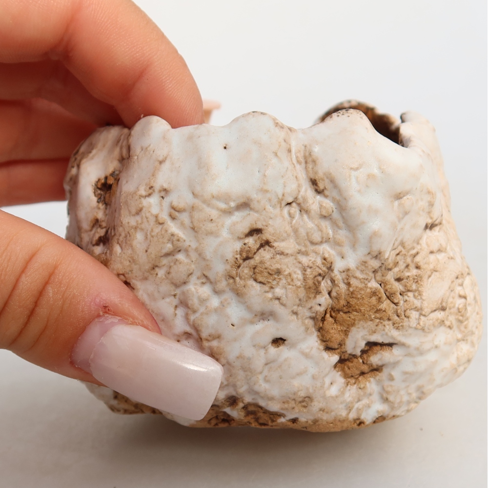 Keramická škrupina  7 x 7 x 6 cm, farba bielo-hnedá
