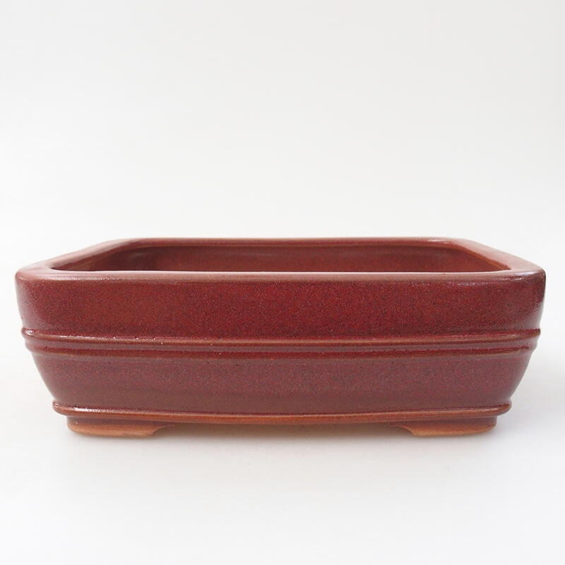 Keramická bonsai miska 17 x 12,5 x 5,5 cm, farba vínová