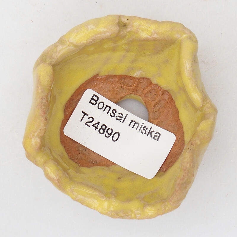 Keramická Škrupina 7 x 6 x 3,5 cm , farba žltá