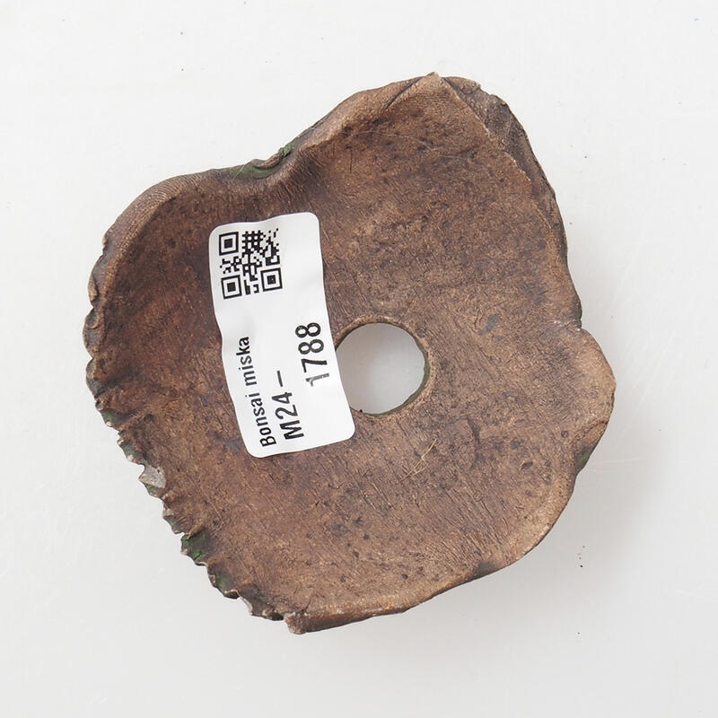 Keramická Škrupina 7 x 7 x 4 cm, farba zelená