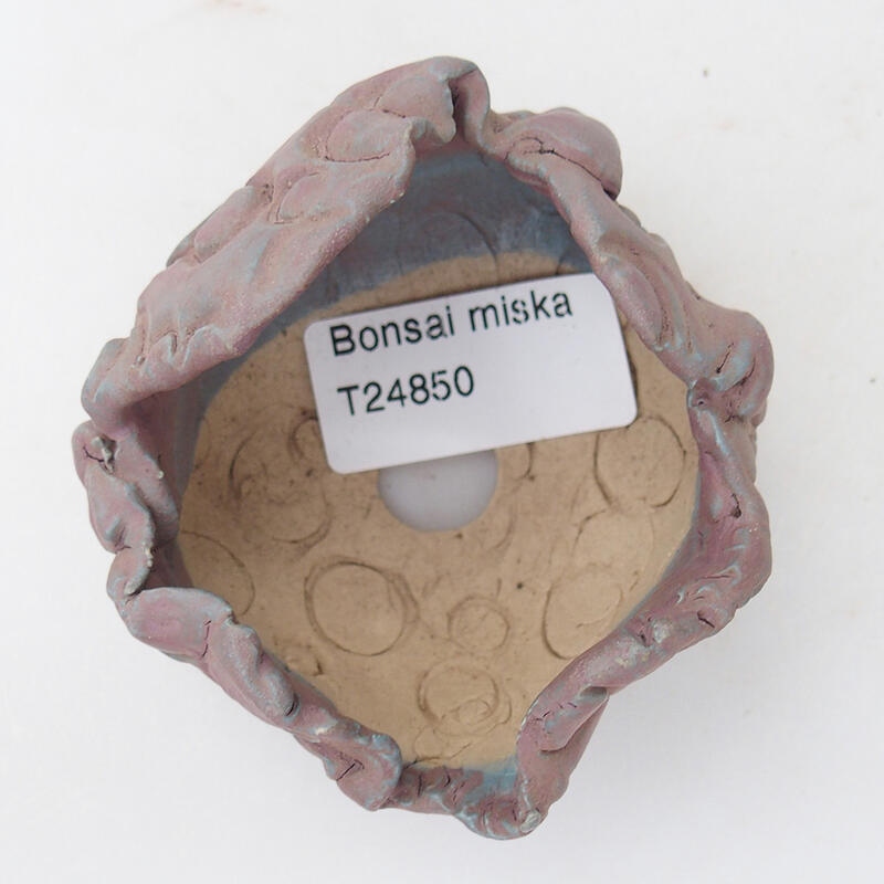 Keramická Škrupina 7 x 7 x 5,5 cm , farba fialová