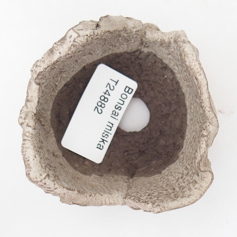 Keramická Škrupina 7 x 7 x 5 cm , farba šedá