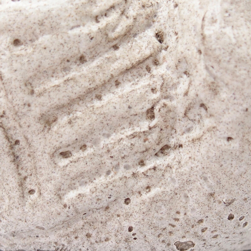 Keramická Škrupina 8,5 x 7 x 5 cm , farba šedá