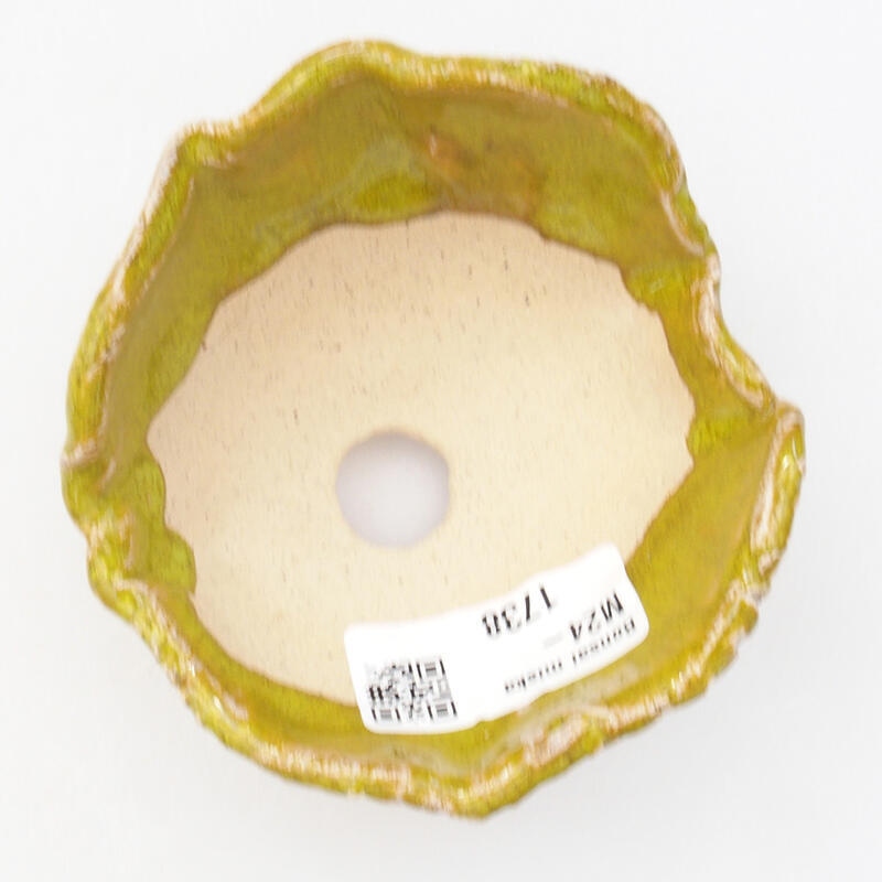 Keramická Škrupina 8,5 x 8,5 x 5,5 cm, farba zelená