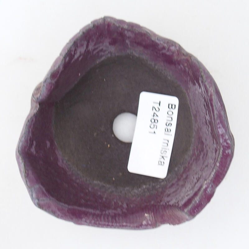 Keramická Škrupina 8,5 x 9 x 4 cm, farba fialová