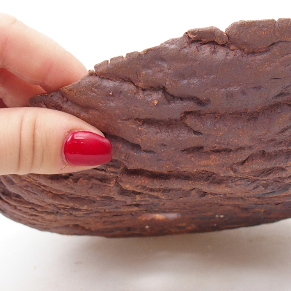 Keramická mušľa 22 x 18,5 x 6,5 cm , farba hnedá