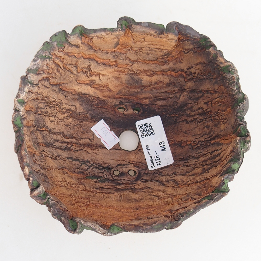 Keramická mušľa 15 x 14 x 7 cm , farba zelená