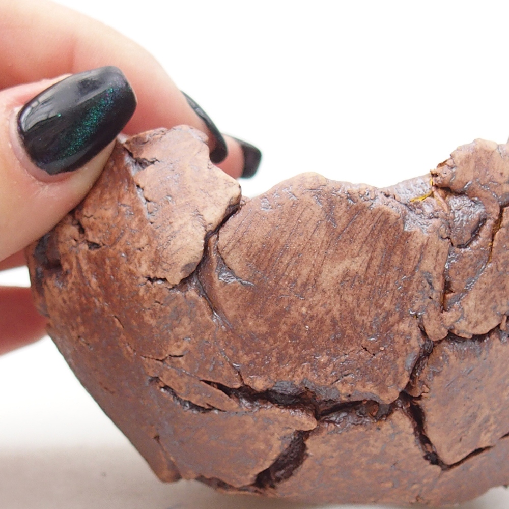 Keramická mušľa 9 x 9 x 5,5 cm , farba hnedá