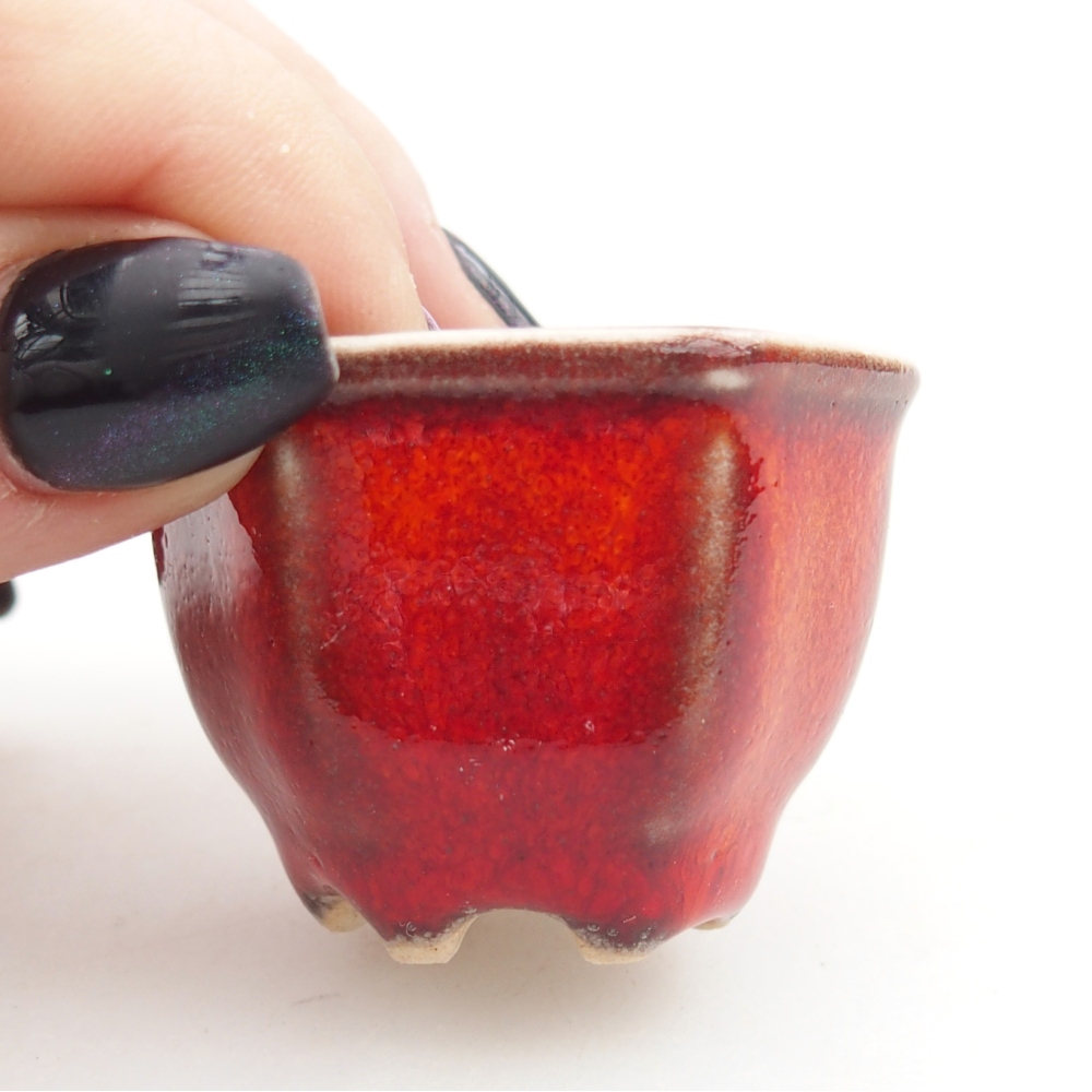 Mini bonsajová miska 4 x 4 x 3 cm, farba červená