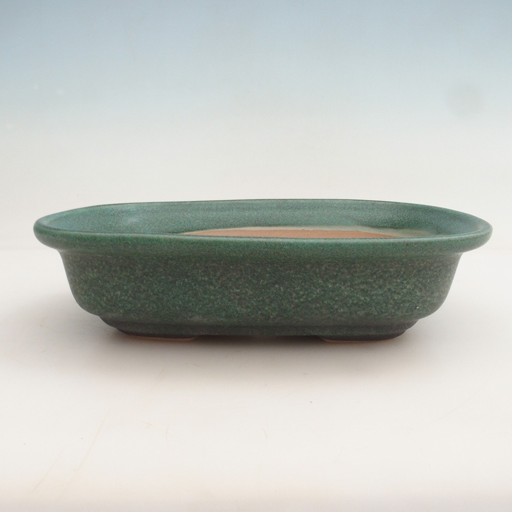 Bonsai miska H25 – 23 x 17 x 5,5 cm. - zelená