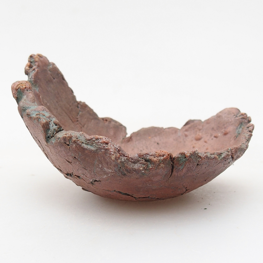 Keramická mušľa 10 x 8 x 6 cm , farba zelená