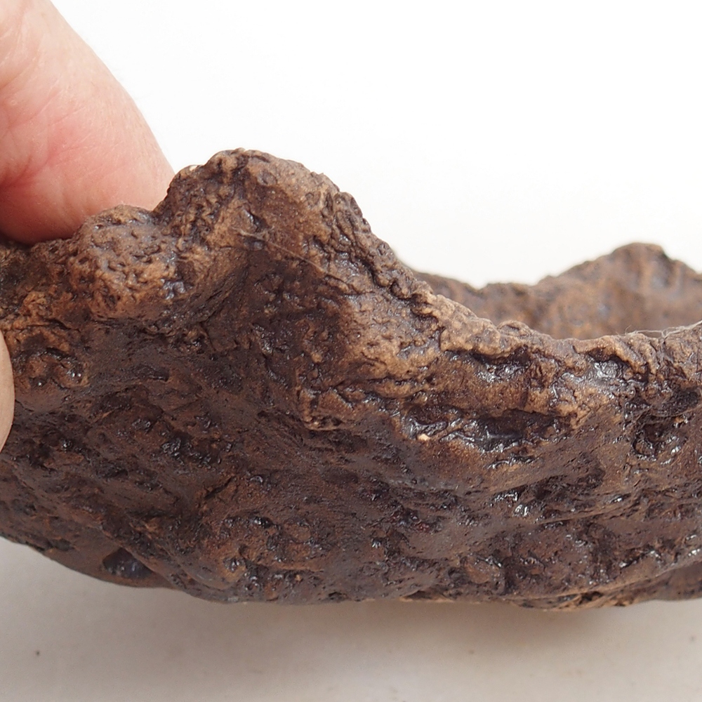 Keramická mušľa 19 x 15 x 14 cm , farba hnedá