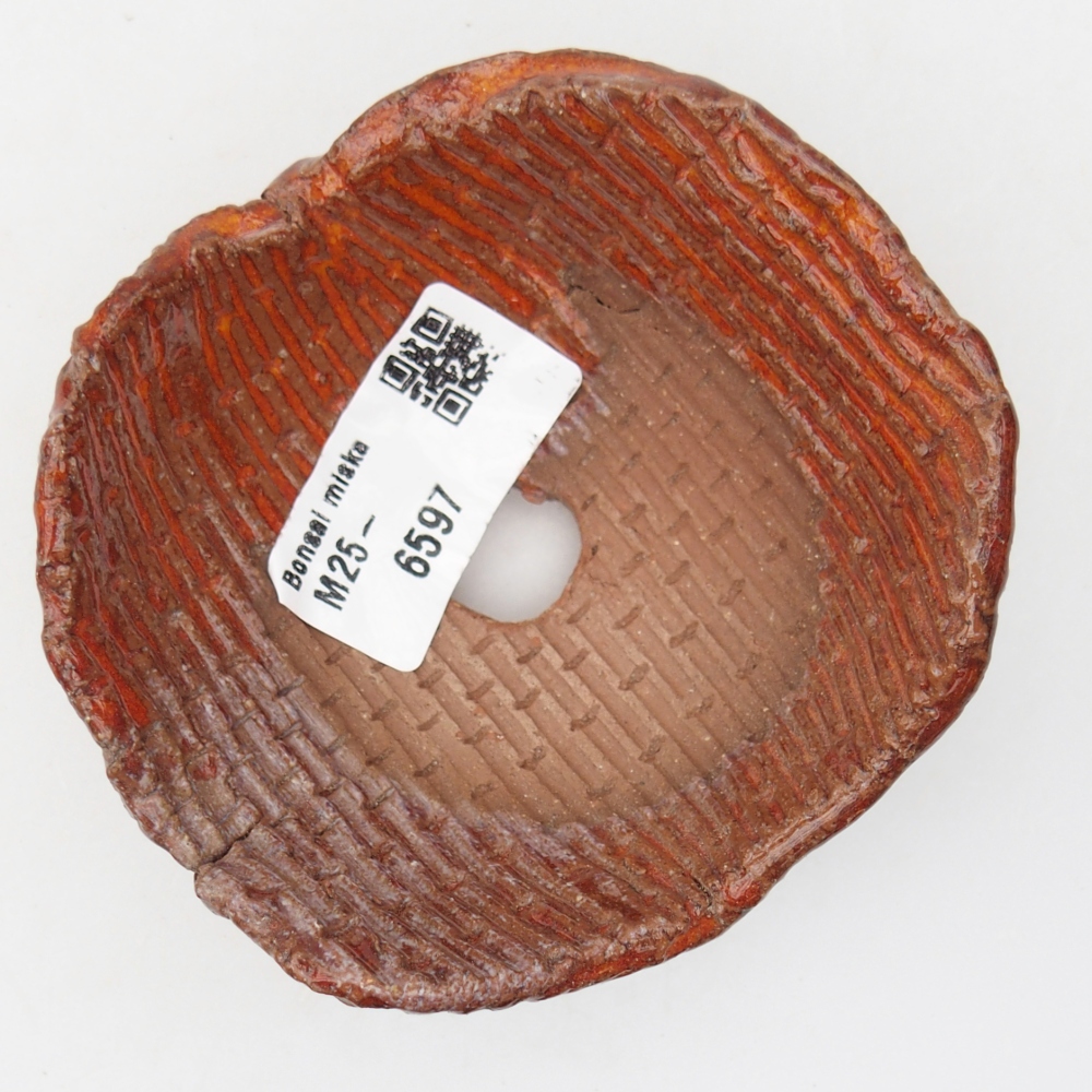 Keramická mušľa 9 x 9 x 5 cm , farba oranžová