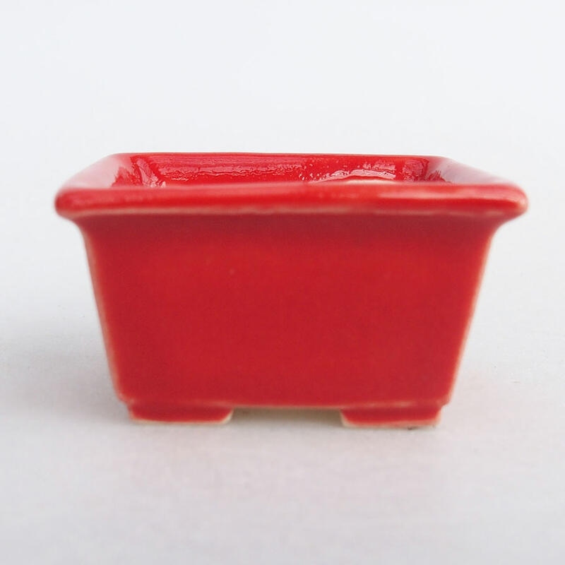 Mini bonsai miska 4 x 3 x 2 cm, farba červená