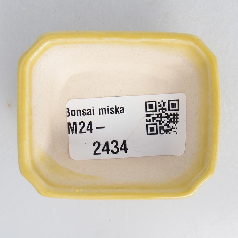 Mini bonsai miska 5,5 x 4,5 x 2 cm, farba žltá