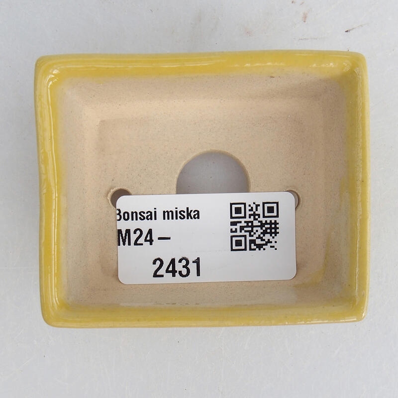 Mini bonsai miska 6,5 ​​x 5,5 x 2,5 cm, farba žltá