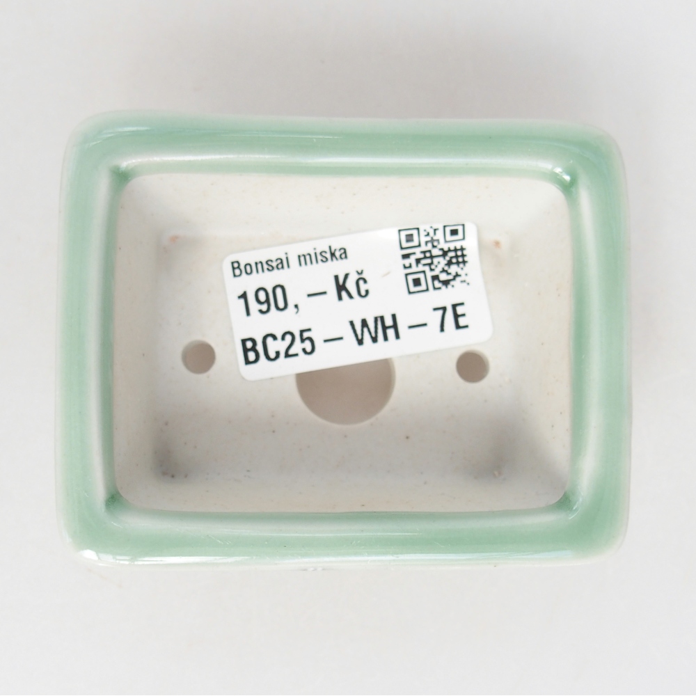 Mini bonsajová miska 8 x 6 x 3 cm, zelená