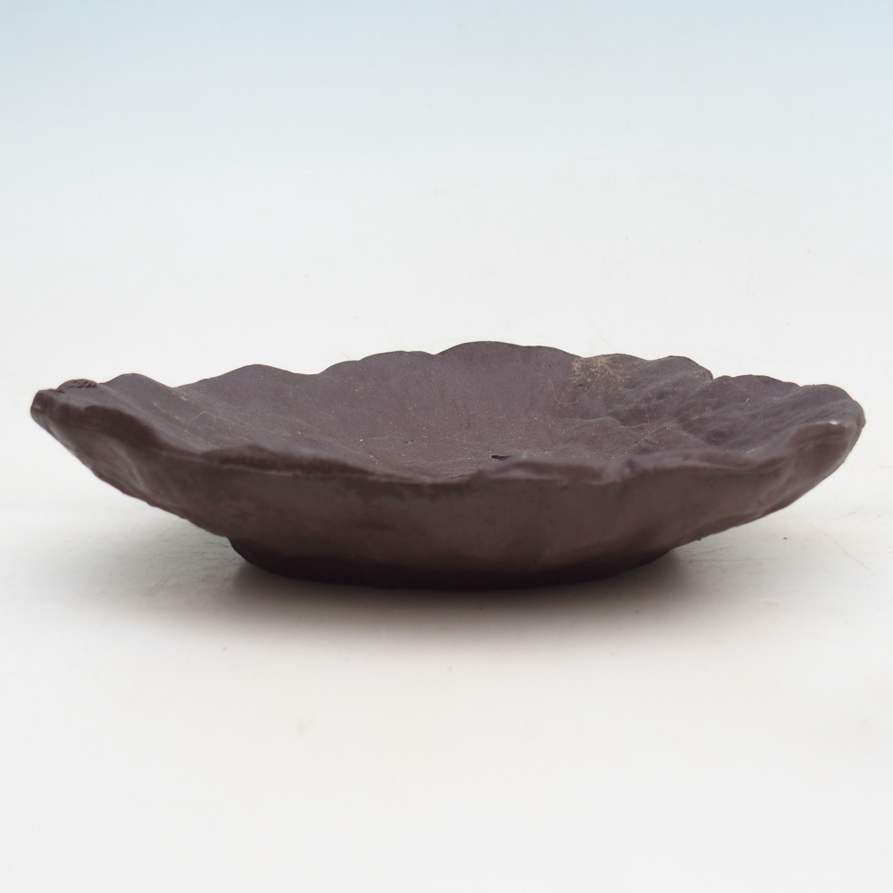 Keramická mušľa 16 x 14,5 x 4 cm , farba hnedá