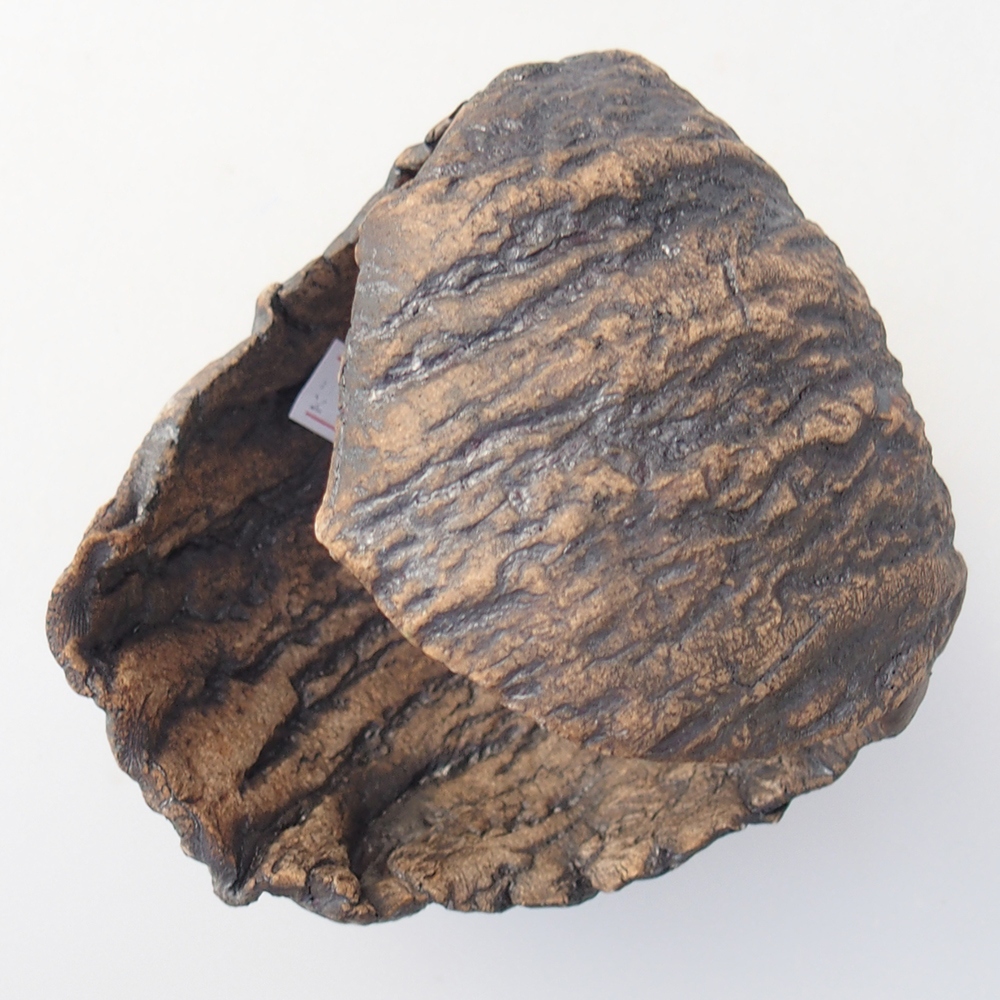 Keramická mušľa 10 x 9 x 10 cm , farba hnedá