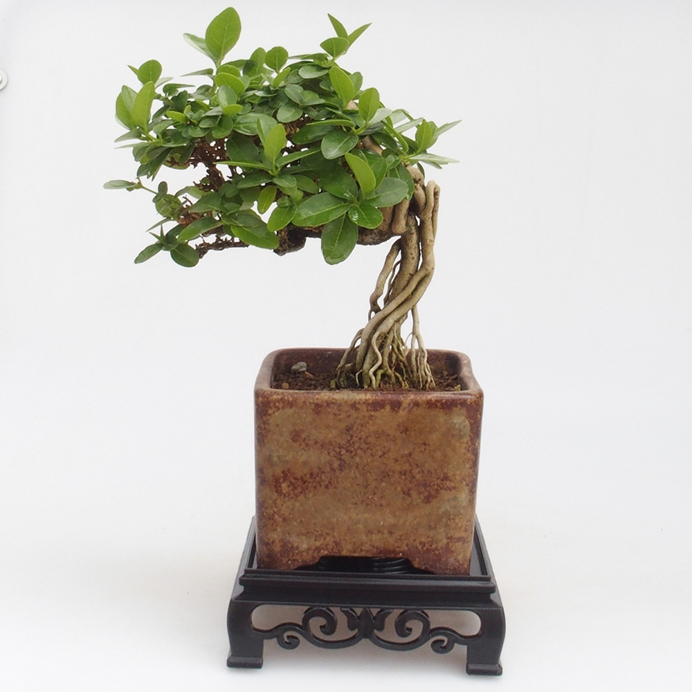 Bonsai stolík plastový štvorcový 12,5 x 12,5 x 4  cm, farba čierna