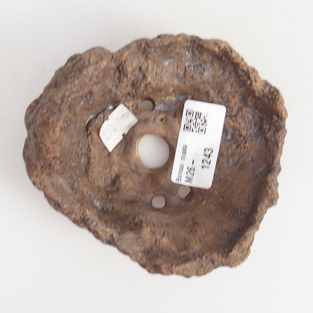 Keramická mušľa 10 x 9 x 9 cm , farba hnedá