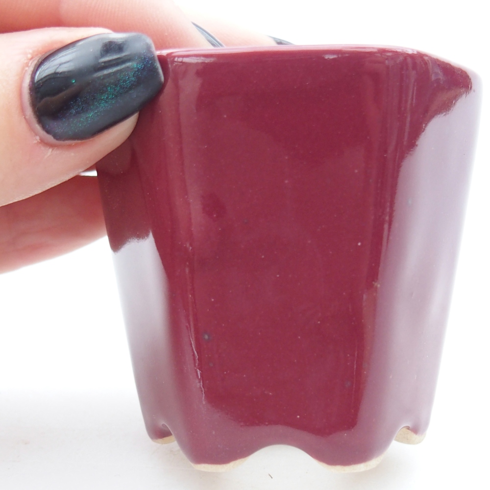 Mini bonsajová miska 5,5 x 5 x 5 cm, farba bordová