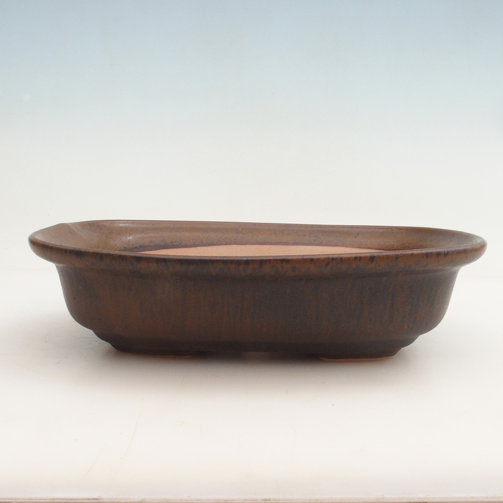 Bonsai miska H25 – 23 x 17 x 5,5 cm. - hnedá