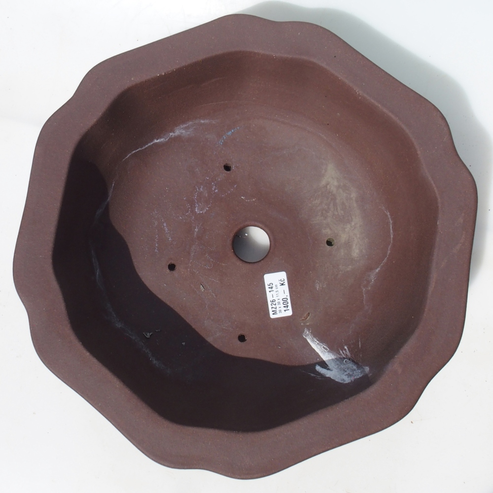 Bonsajová miska 39 x 39 x 11,5 cm breza hnedá