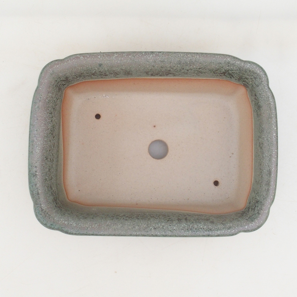 Bonsai miska H50 – 17 x 12,5 x 5,5 cm. - zelená