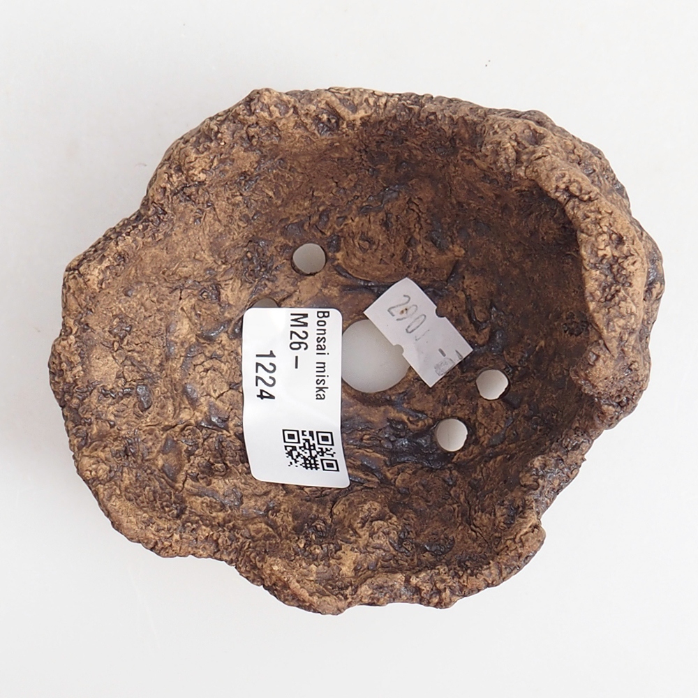 Keramická mušľa 9,5 x 9 x 8,5 cm , farba hnedá