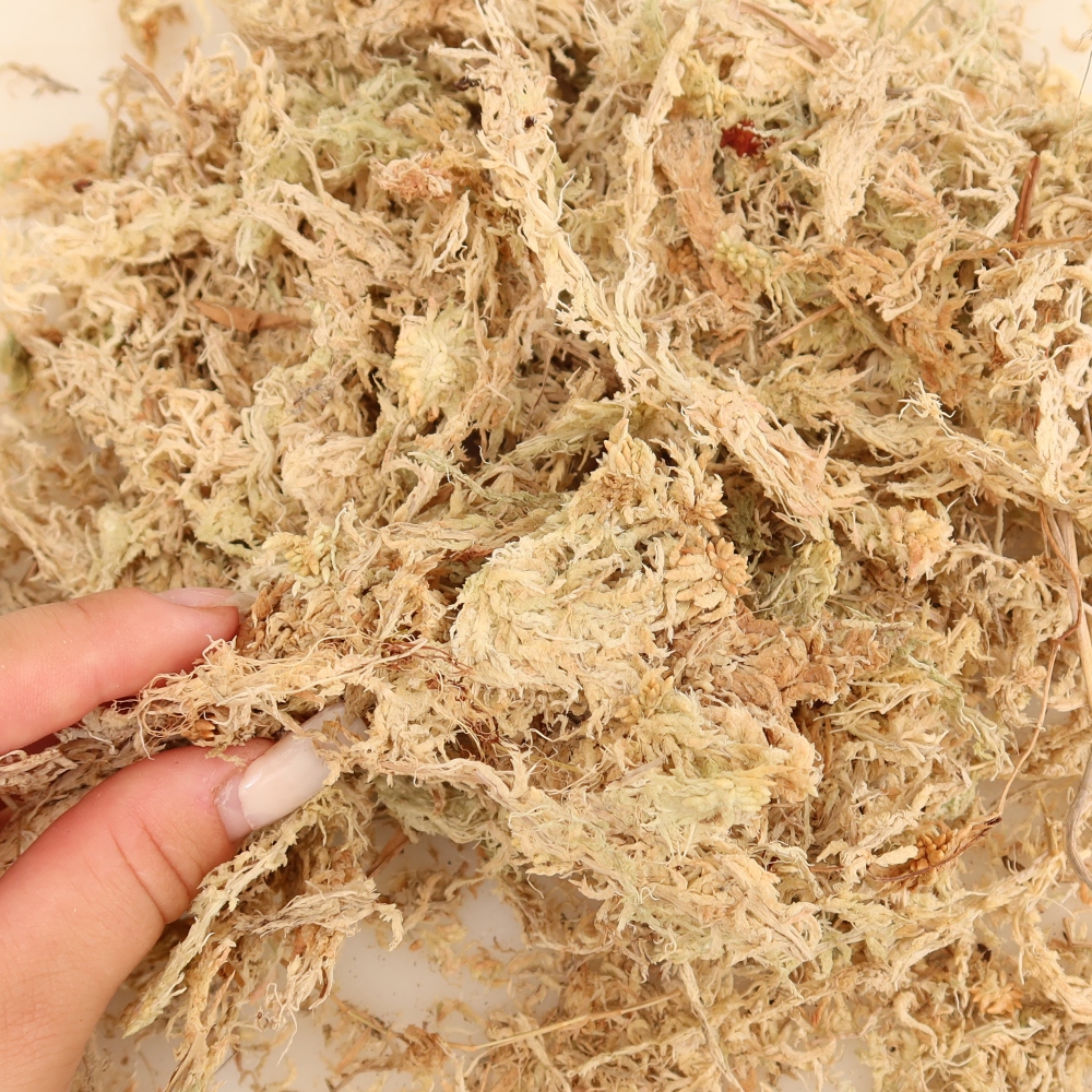 Sphagnum – rašelinník 150 g