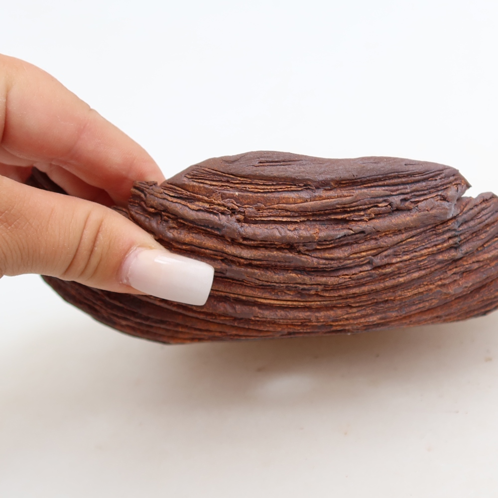 Keramická škrupina  21 x 15 x 5,5 cm, farba hnedá