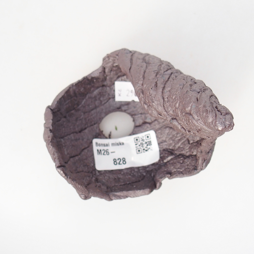 Keramická mušľa 8 x 8 x 12 cm , kovová farba