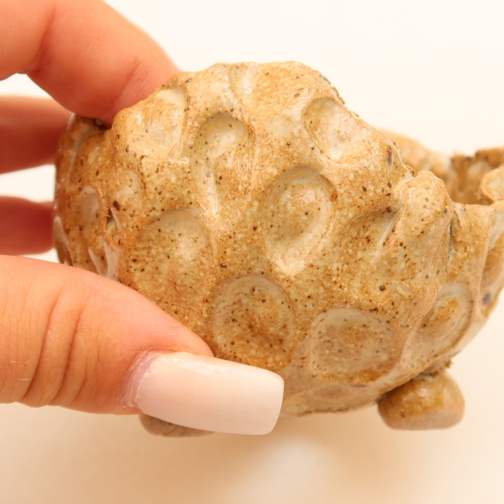 Keramická mušľa 8,5 x 8,5 x 6 cm , farba béžová