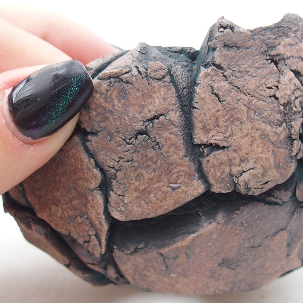 Keramická mušľa 9 x 8,5 x 6 cm , farba zelená