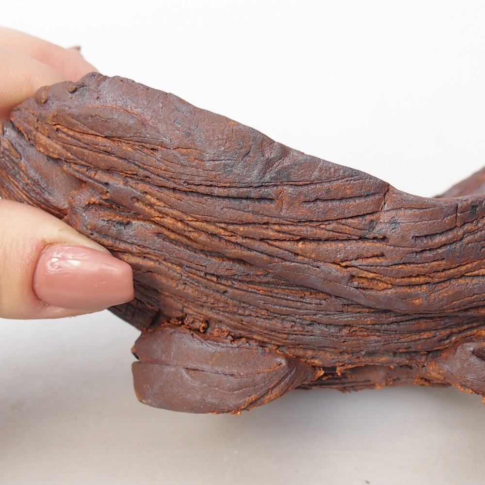 Keramická mušľa 16 x 10,5 x 8,5 cm , farba hnedá