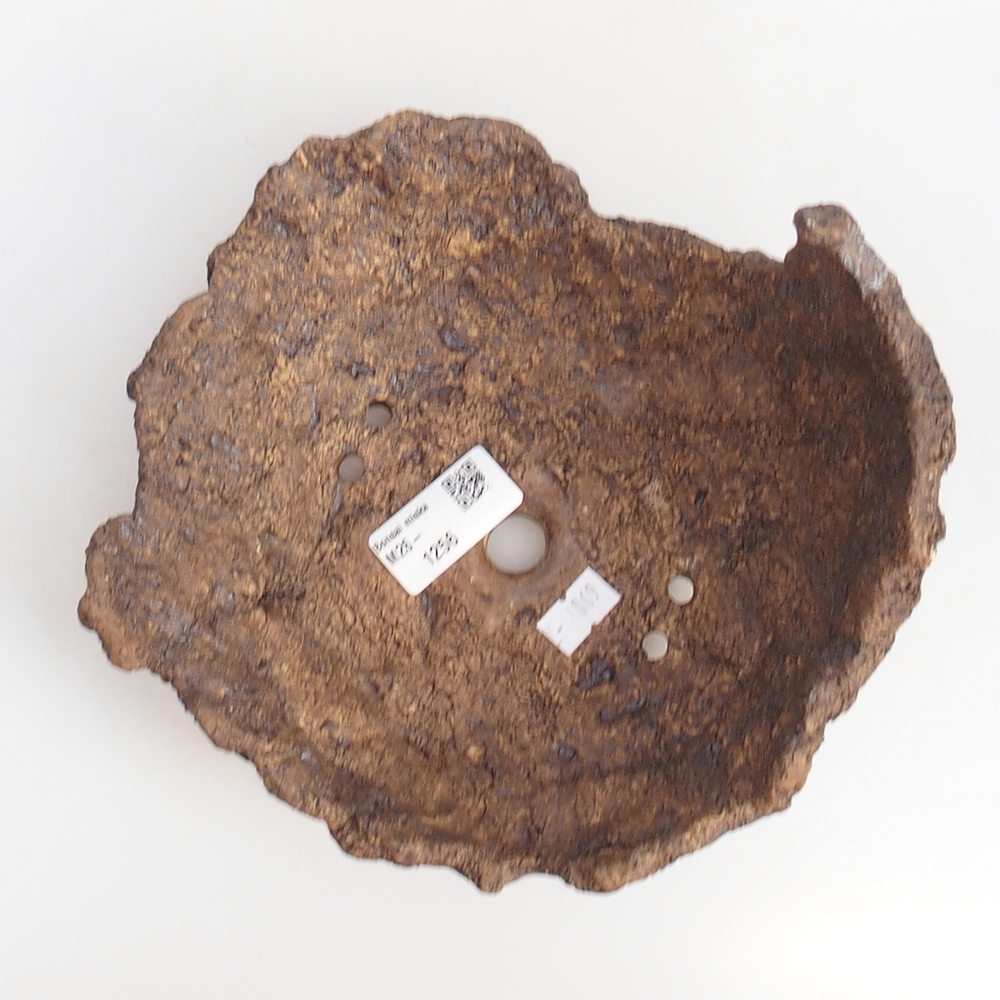 Keramická mušľa 19 x 15 x 14 cm , farba hnedá