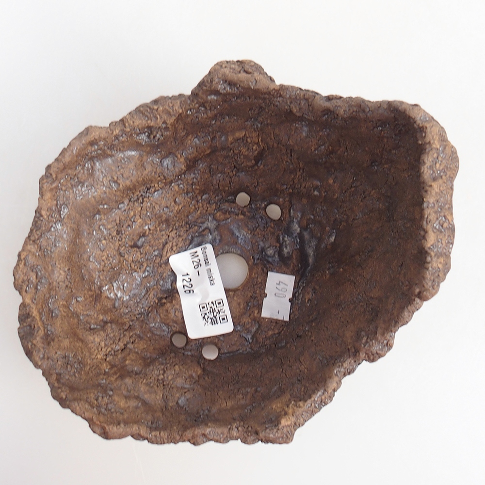 Keramická mušľa 14 x 12 x 13 cm , farba hnedá