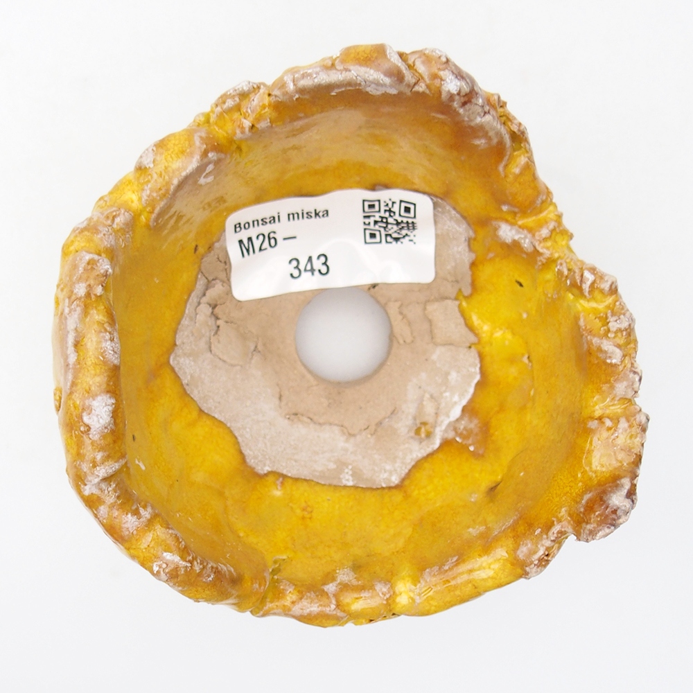 Keramická mušľa 9 x 9 x 6 cm , žltá