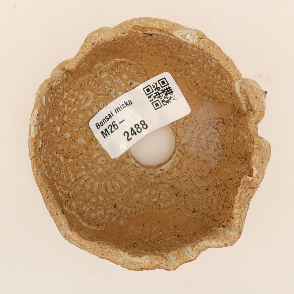 Keramická mušľa 9 x 8 x 6 cm , farba béžová