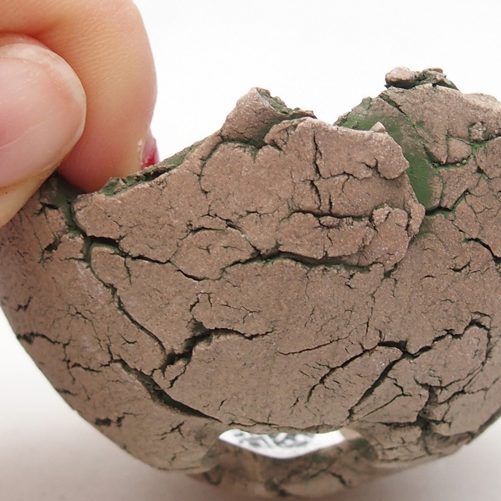 Keramická mušľa 7 x 7 x 4 cm , farba zelená
