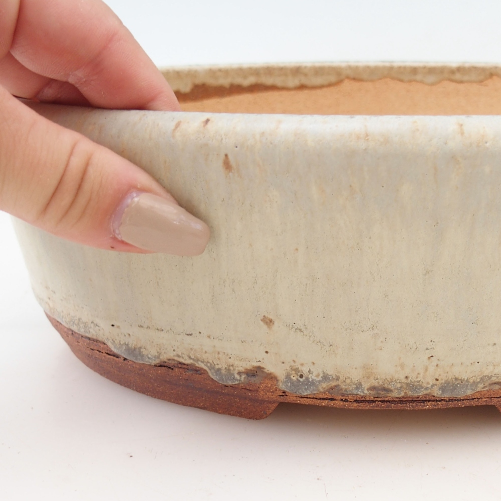 Miska na bonsaj 24 x 19 x 8 cm , farba béžová