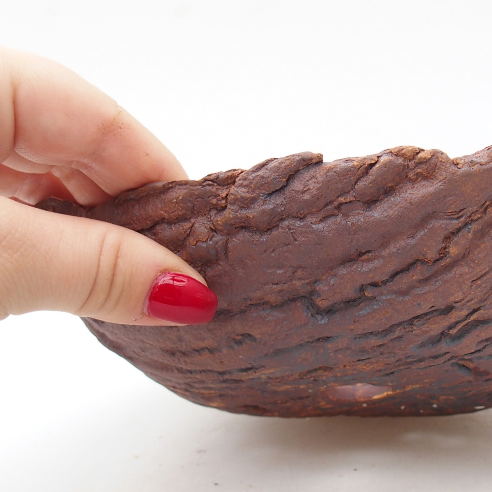 Keramická mušľa 20 x 15 x 6 cm , farba hnedá