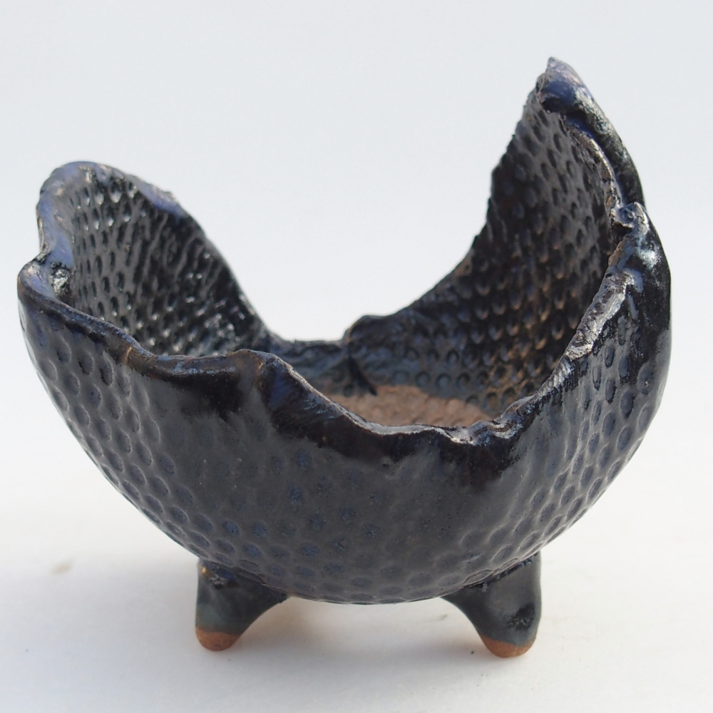 Keramická mušľa 10 x 8,5 x 8,5 cm , farba modrá