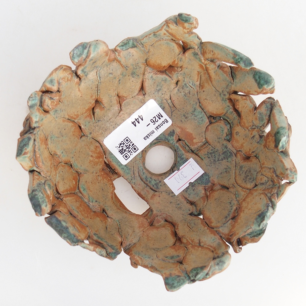 Keramická mušľa 14 x 14 x 6,5 cm , farba zelená