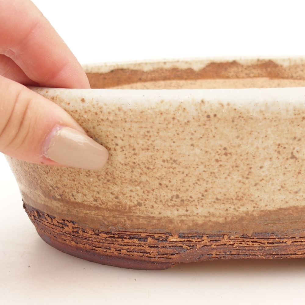 Miska na bonsaj 20 x 16,5 x 6,5 cm , farba béžová