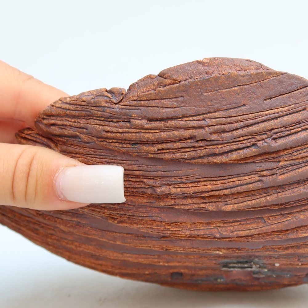 Keramická škrupina  24 x 17 x 6,5 cm, farba hnedá