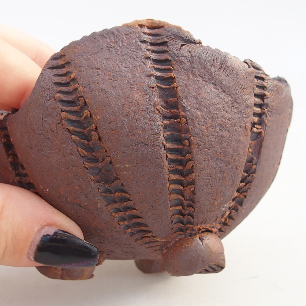 Keramická mušľa 9 x 9 x 7 cm , farba hnedá