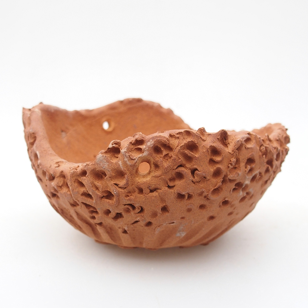 Keramická Škrupina 13 x 14 x 7 cm , farba režná
