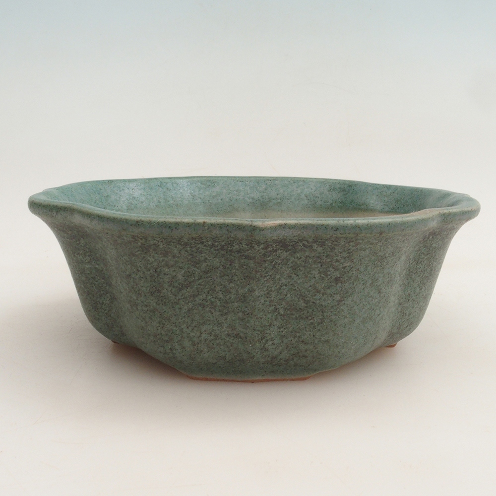 Bonsai miska H16 – 14,5 x 14,5 x 5 cm.